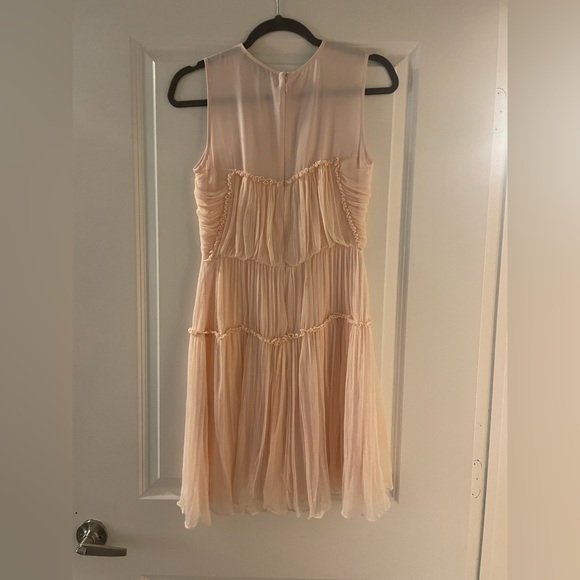 Cynthia Steffe Light Pink Gauzy 100% Silk Mini Dress Ruched Detailing Size 2 - Picture 3 of 6